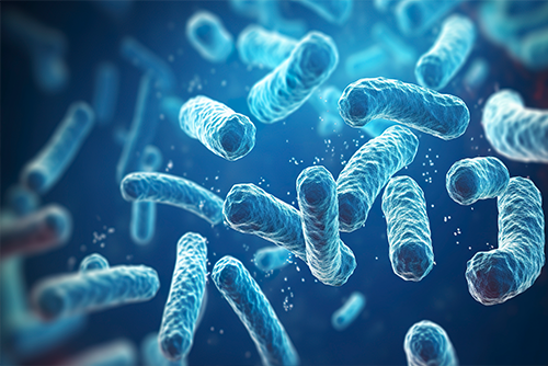 Batteri legionella