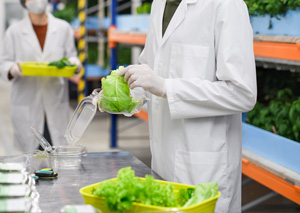 Sicurezza alimentare